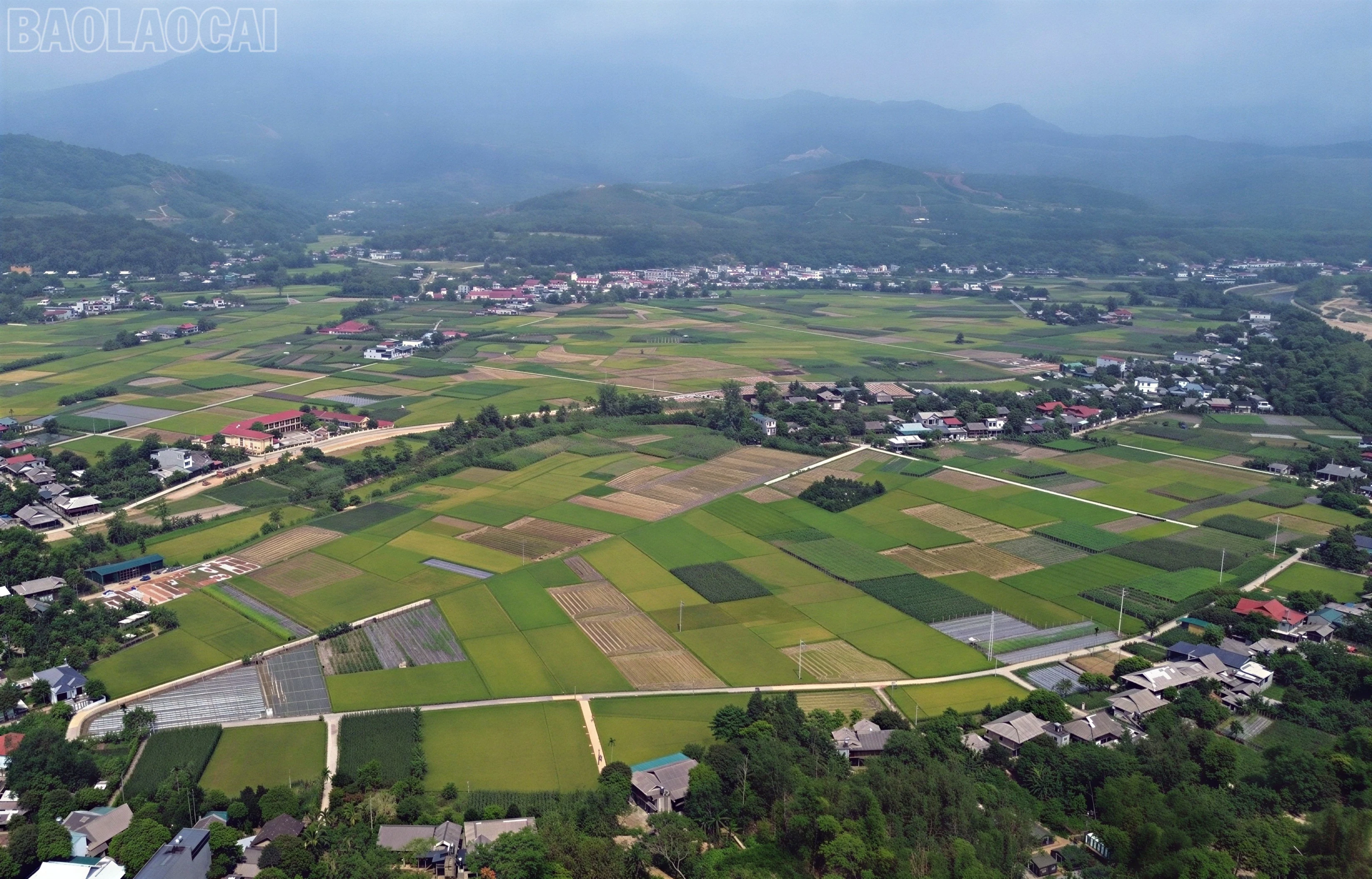 baolaocai-tl_dji-0179-4544.jpg