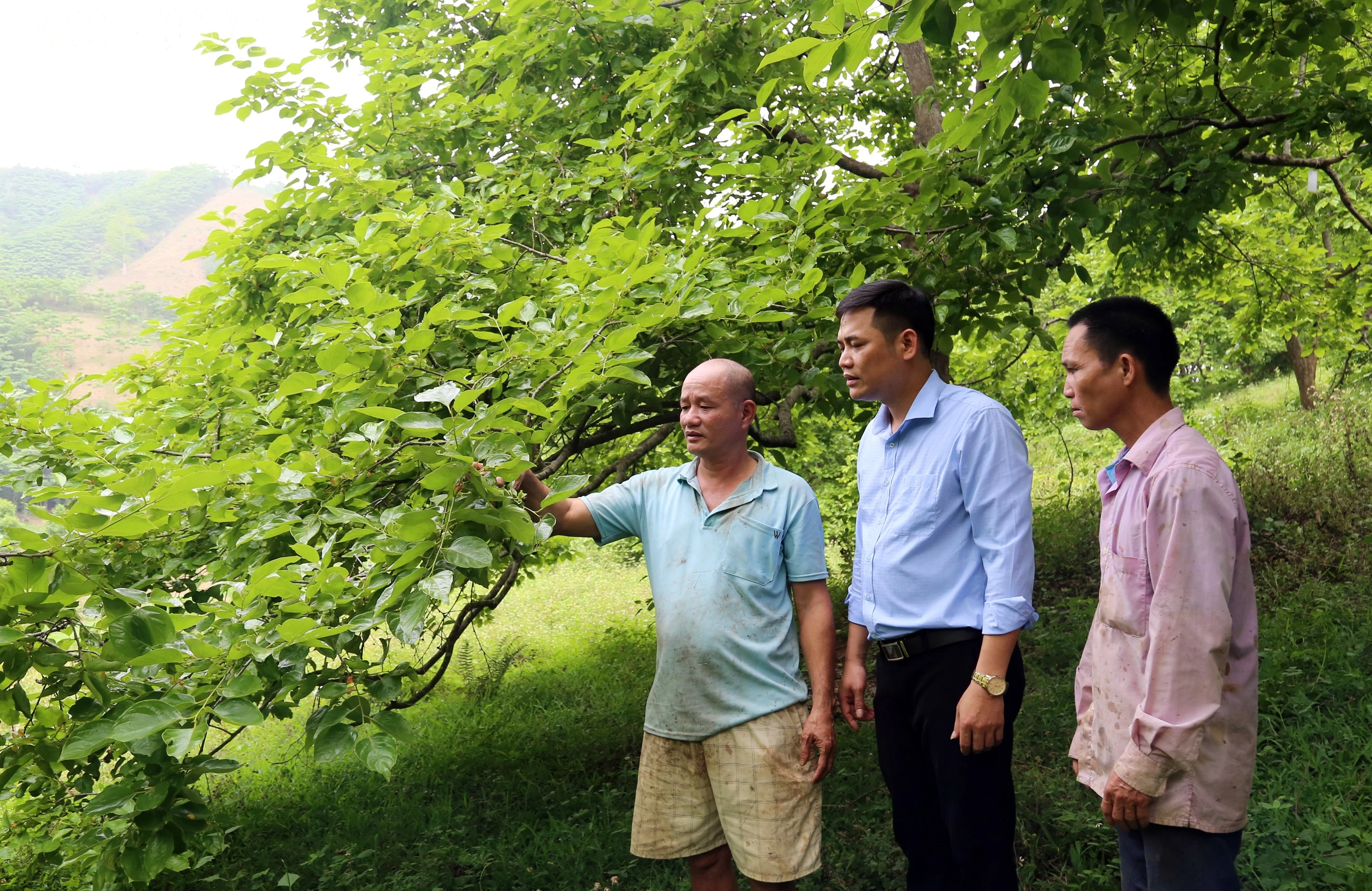 baolaocai-tl_nong-dan-xa-tan-thuong-tich-cuc-chuyen-doi-cay-trong-vat-nuoi-de-nang-cao-thu-nhap.jpg