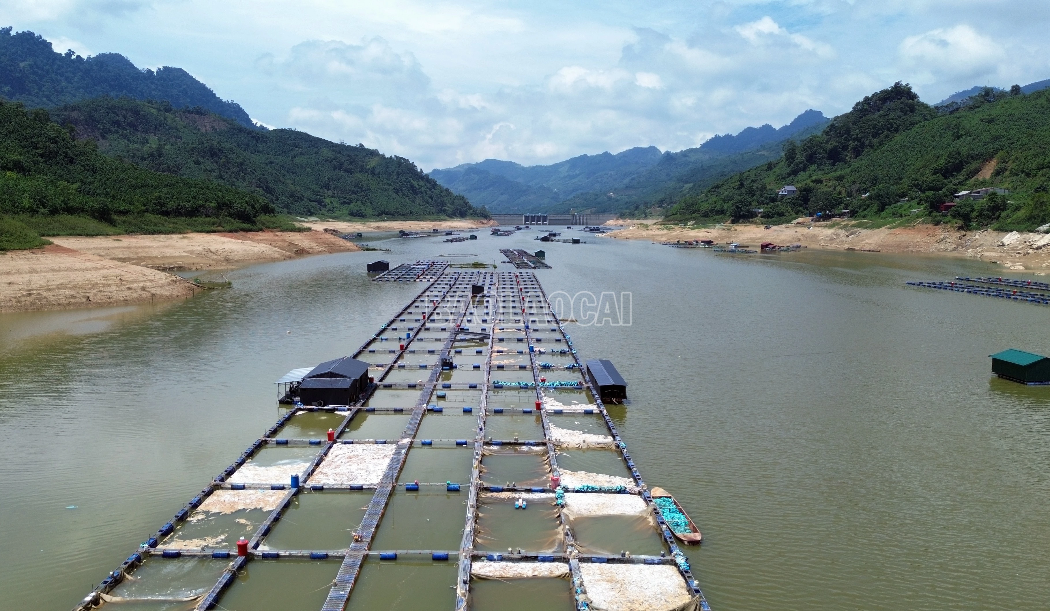 baolaocai-c_dji-0612.jpg