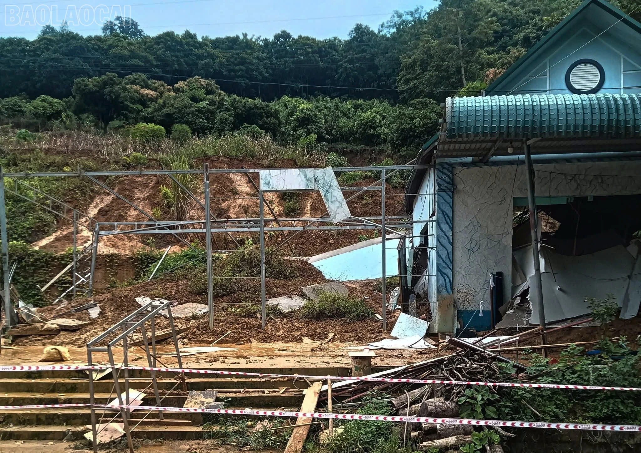 baolaocai-tl_c111.jpg