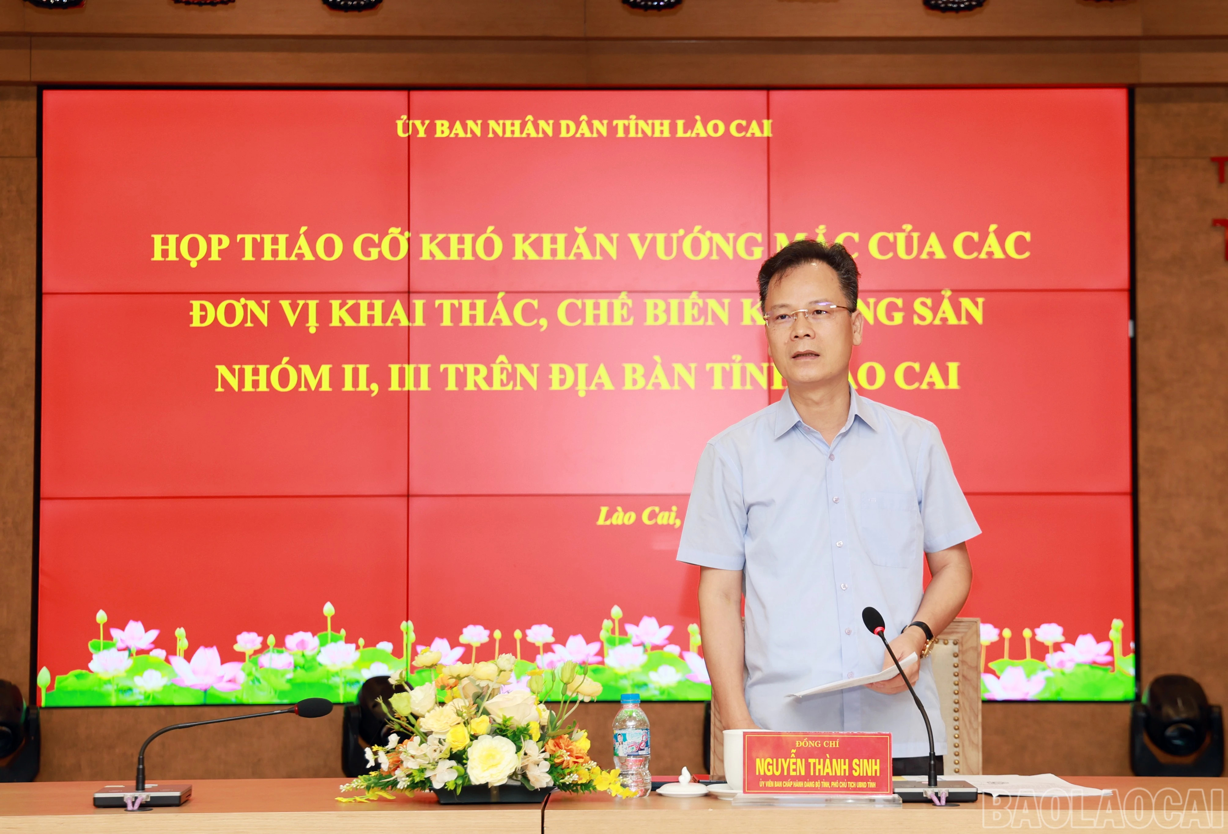 baolaocai-br_060a9210.jpg