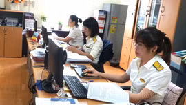 Chuẩn hóa dữ liệu thuế theo tiêu chí “Đúng - đủ - sạch - sống”