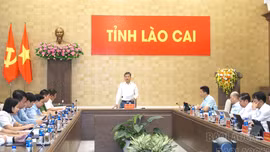 Tăng cường quản lý thu ngân sách Nhà nước đối với hoạt động kinh doanh trong lĩnh vực du lịch, dịch vụ, thương mại điện tử 