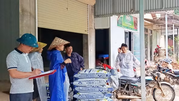Mỏ Vàng: 91 hộ dân được hỗ trợ phân bón phát triển sản xuất