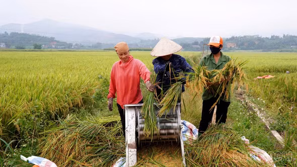 Thôn Sân Bay chuyển mình