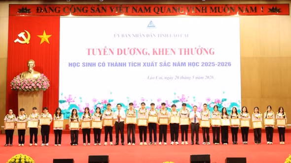 Không tổ chức thi học sinh giỏi cấp trường, cấp xã, trừ trường hợp nào?