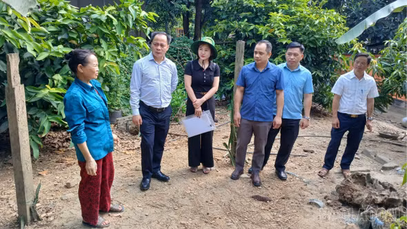 Khảo sát xây dựng mô hình nuôi gà thương phẩm tại Bảo Nhai
