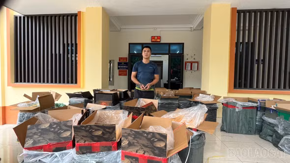 Triệt phá vụ vận chuyển 21.000 bao thuốc lá lậu từ Hà Nội lên Lào Cai