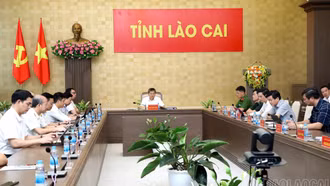 Quyết tâm đấu tranh chống buôn lậu, gian lận thương mại và hàng giả