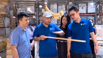 Tăng cường giám sát an toàn lao động tại doanh nghiệp