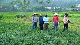 Sức trẻ trong hành trình xây dựng nền hành chính chuyên nghiệp, gần dân