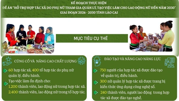 [Infographic] Mục tiêu thực hiện Đề án hỗ trợ hợp tác xã do phụ nữ tham gia quản lý trên địa bàn tỉnh Lào Cai, giai đoạn 2026 - 2030