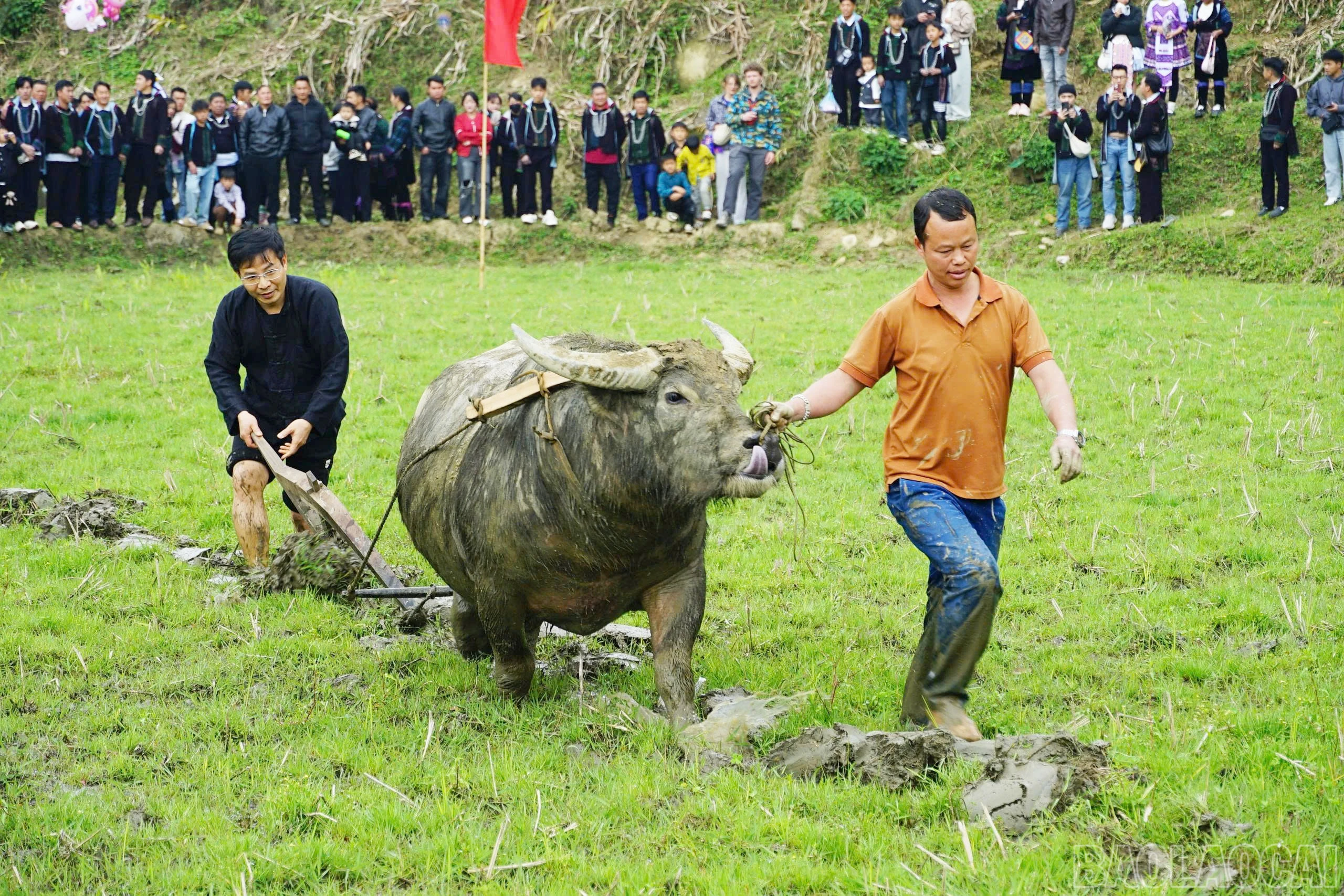 baolaocai-br_nghi-thuc-tich-dien-duoc-tai-hien-voi-mong-muon-mua-mang-boi-thu-cuoc-song-no-am-hanh-phuc.jpg