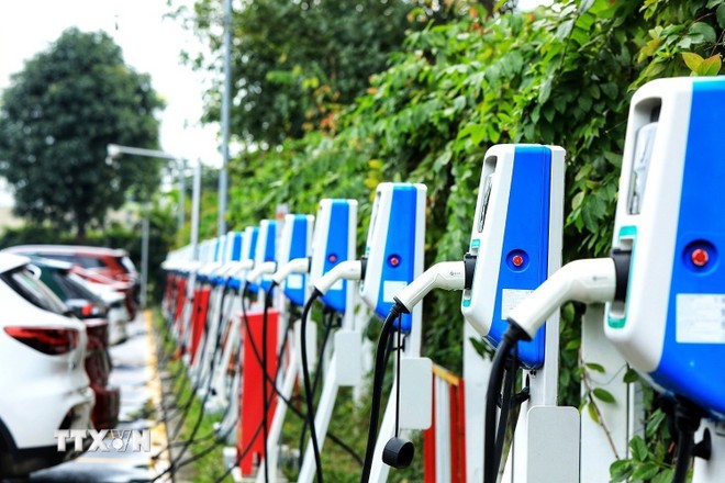 ( Ảnh: Tuấn Anh/TTXVN)