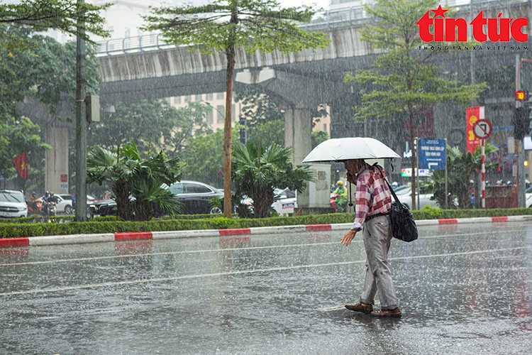 Vùng núi Bắc Bộ có mưa dông.