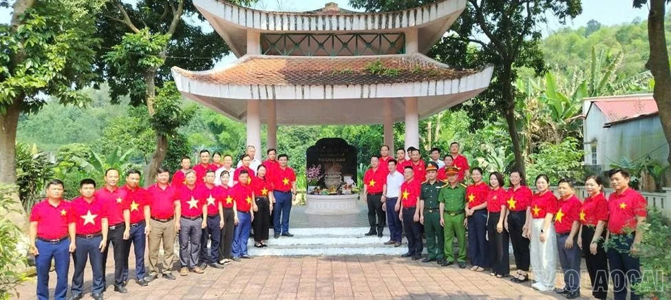 baolaocai-br_1778991977962-1571100389771522866-2244529774608208601-68886d5b8443159846628ff0975c6954.jpg