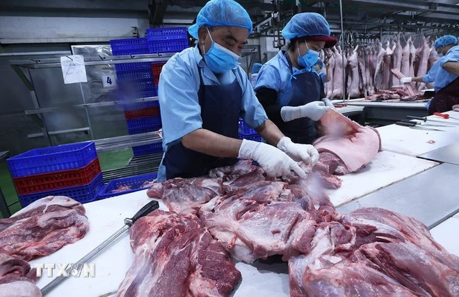 Phân loại sản phẩm thịt lợn phục vụ thị trường ở Nhà máy của Công ty Cổ phần Công nghệ thực phẩm Vinh Anh (Cụm Công nghiệp Hà Bình Phương, xã Thường Tín, thành phố Hà Nội).