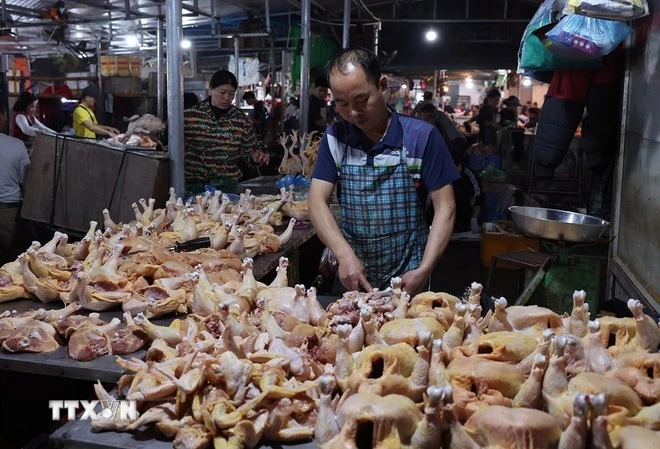 Tiểu thương chuẩn bị nguồn cung thực phẩm phục vụ thị trường sau Tết Bính Ngọ, ở Chợ đầu mối Nam Hà Nội, thành phố Hà Nội.