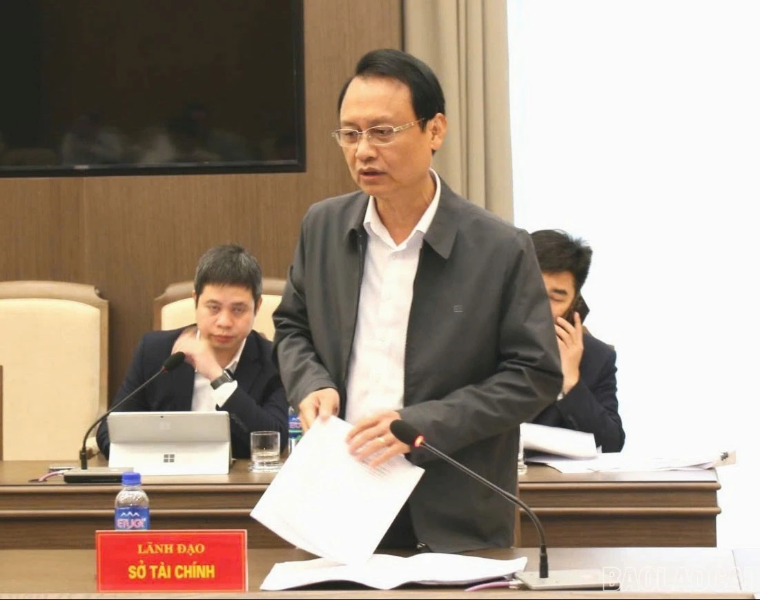 baolaocai-br-z7608870945718-de4c.jpg