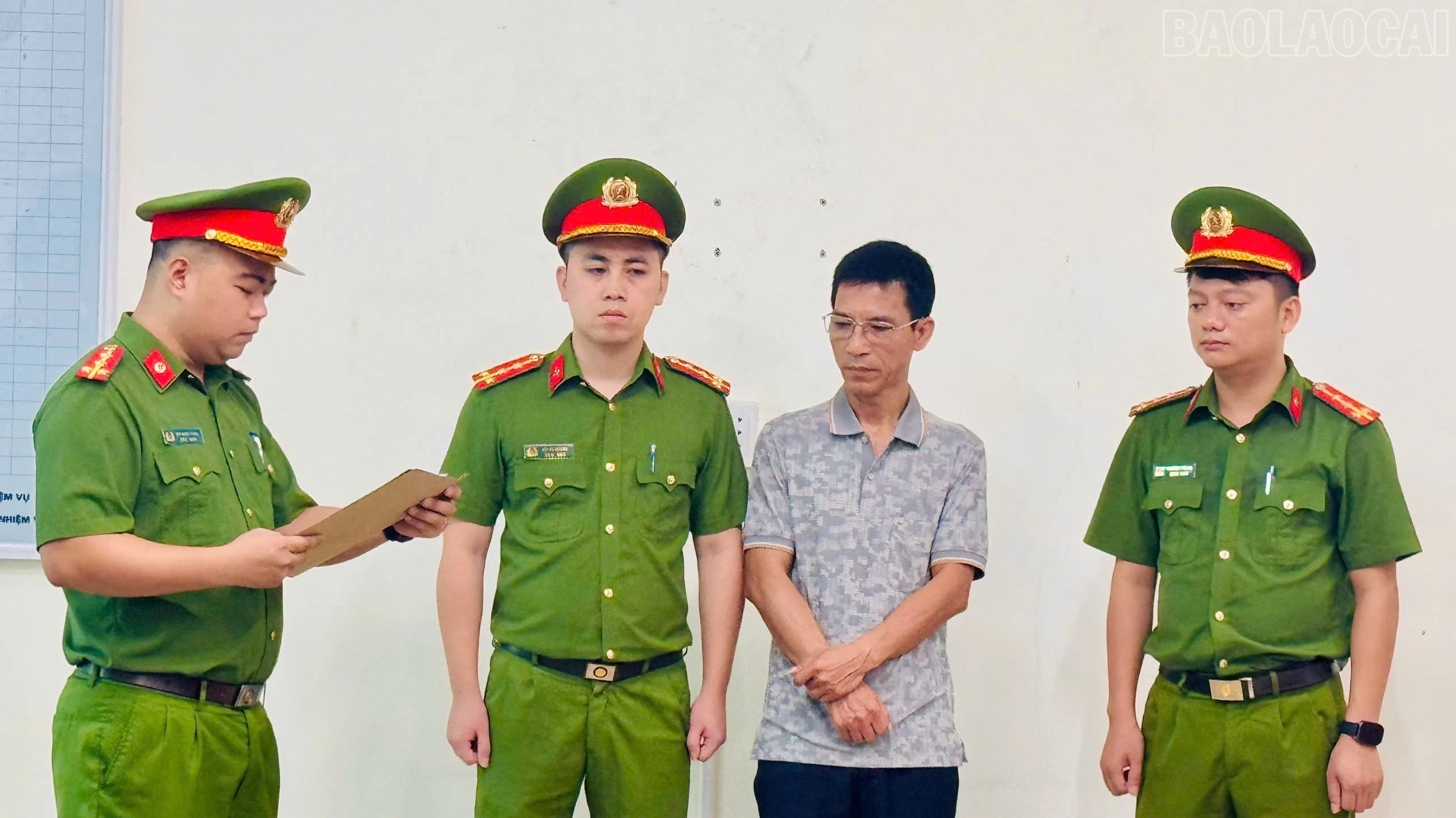 baolaocai-tr_1.jpg