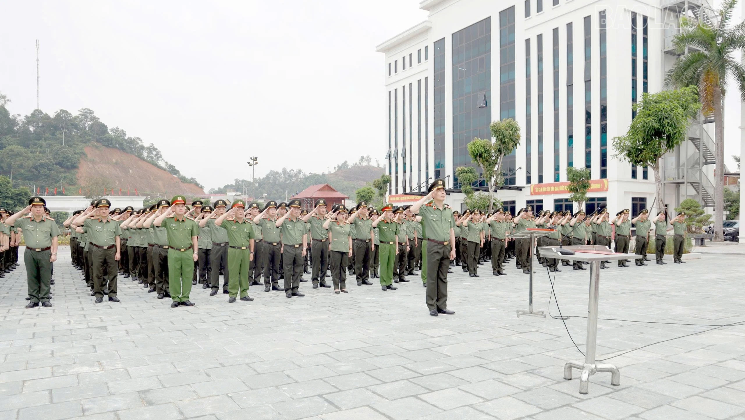 baolaocai-tr_z8012488652035-2c626413ae87956871330342a1fee6d1-1414.jpg