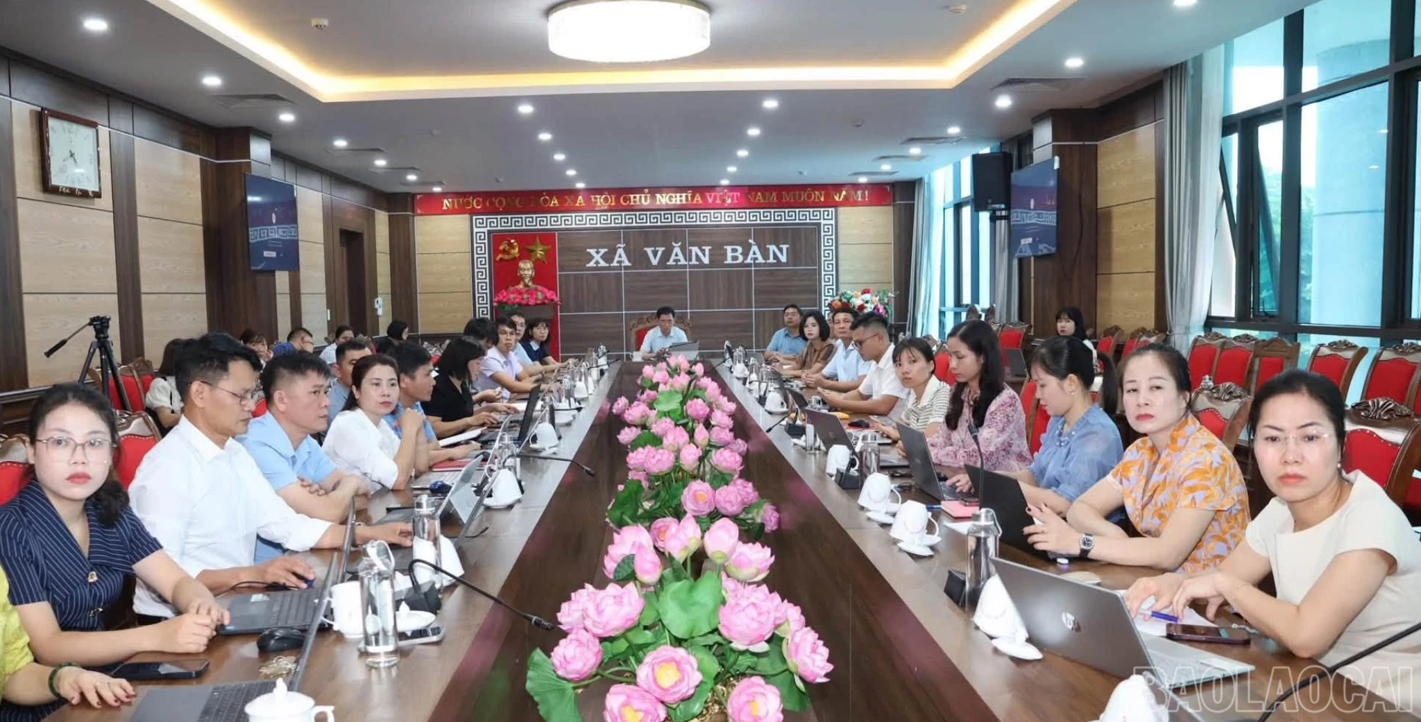 baolaocai-br_3-2437.jpg
