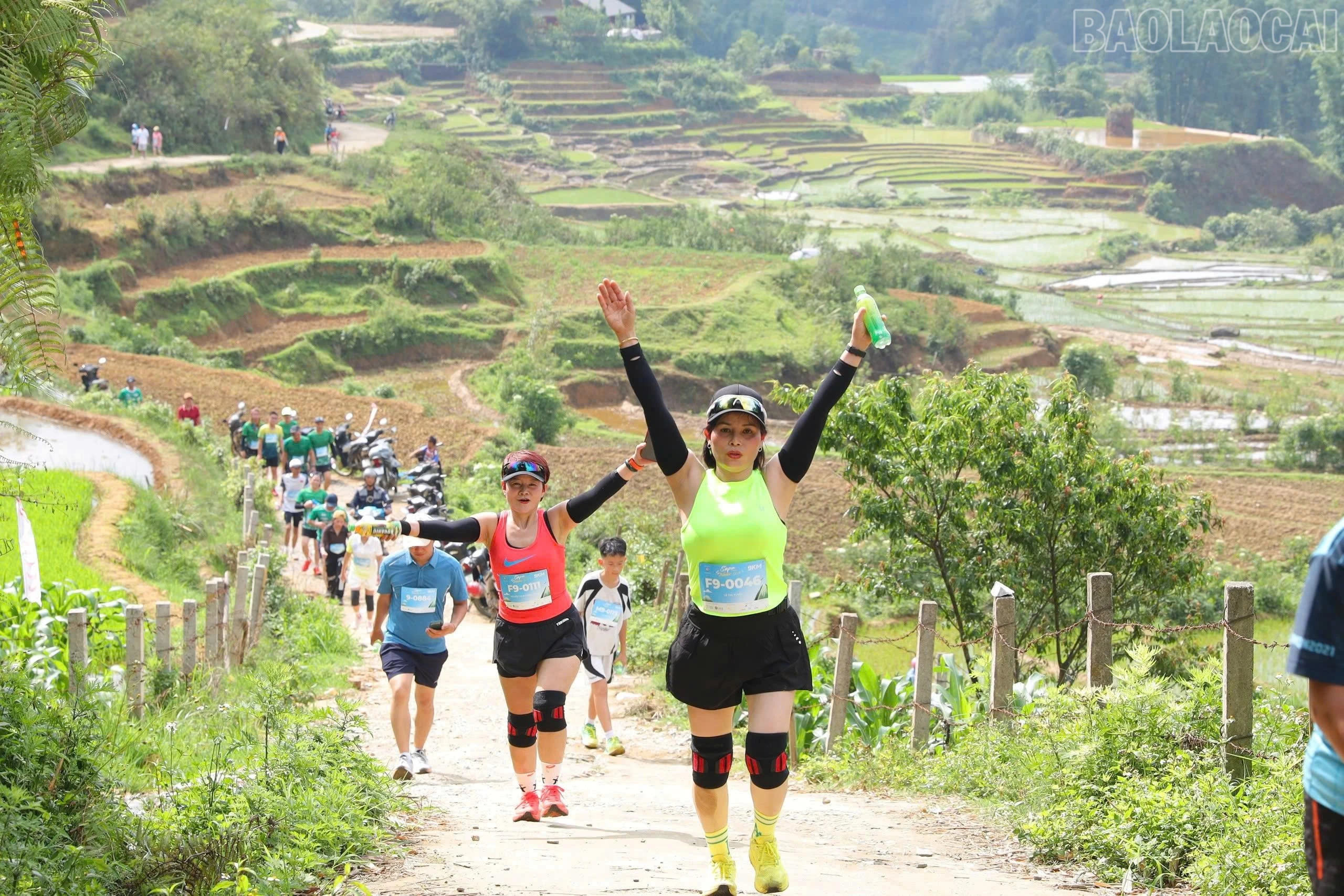 baolaocai-tr_z8016158761995-7470264963568e8f85cee6fa06fc3da5.jpg