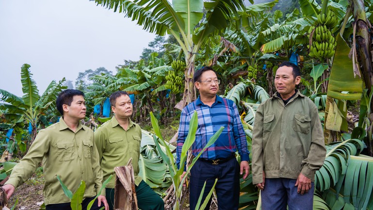 Lãnh đạo Đảng ủy, Ủy ban nhân dân xã Mường Khương tập trung chỉ đạo phát triển sản xuất nông nghiệp để giảm nghèo bền vững.