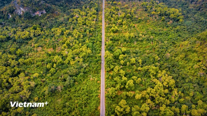 Con đường thẳng tắp trên đảo Cát Bà.