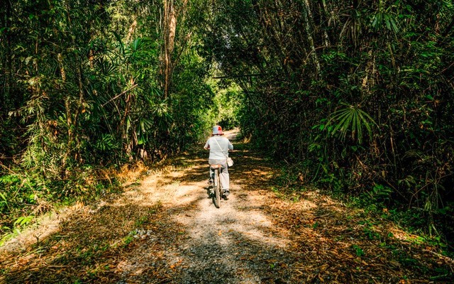 Sở hữu nguồn tài nguyên thiên nhiên và văn hóa phong phú, Việt Nam đang đứng trước cơ hội đặc biệt để vươn lên dẫn đầu trong lĩnh vực du lịch Wellness. Ảnh: Pexels