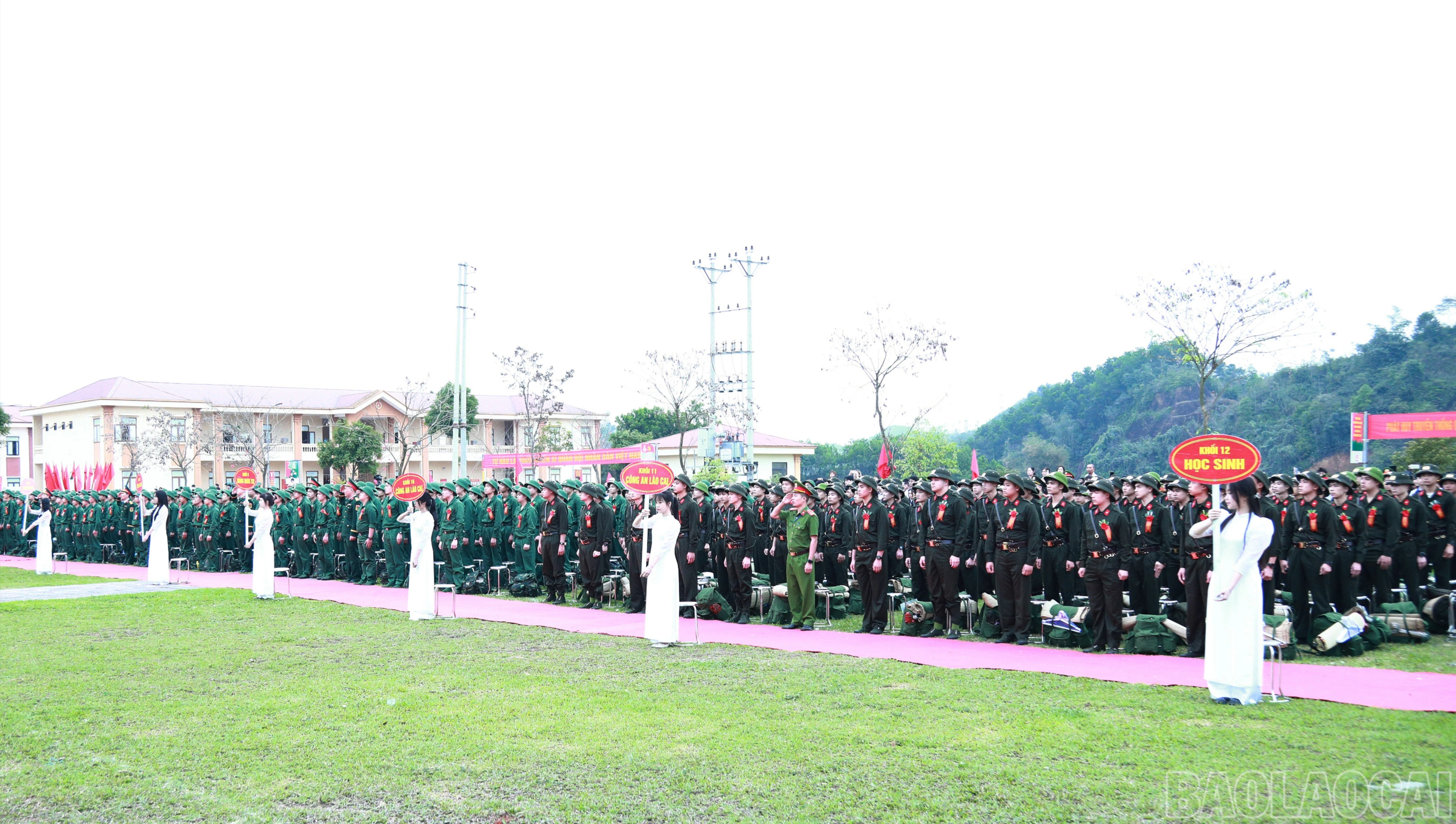 baolaocai-br_br-7j5a6623.jpg