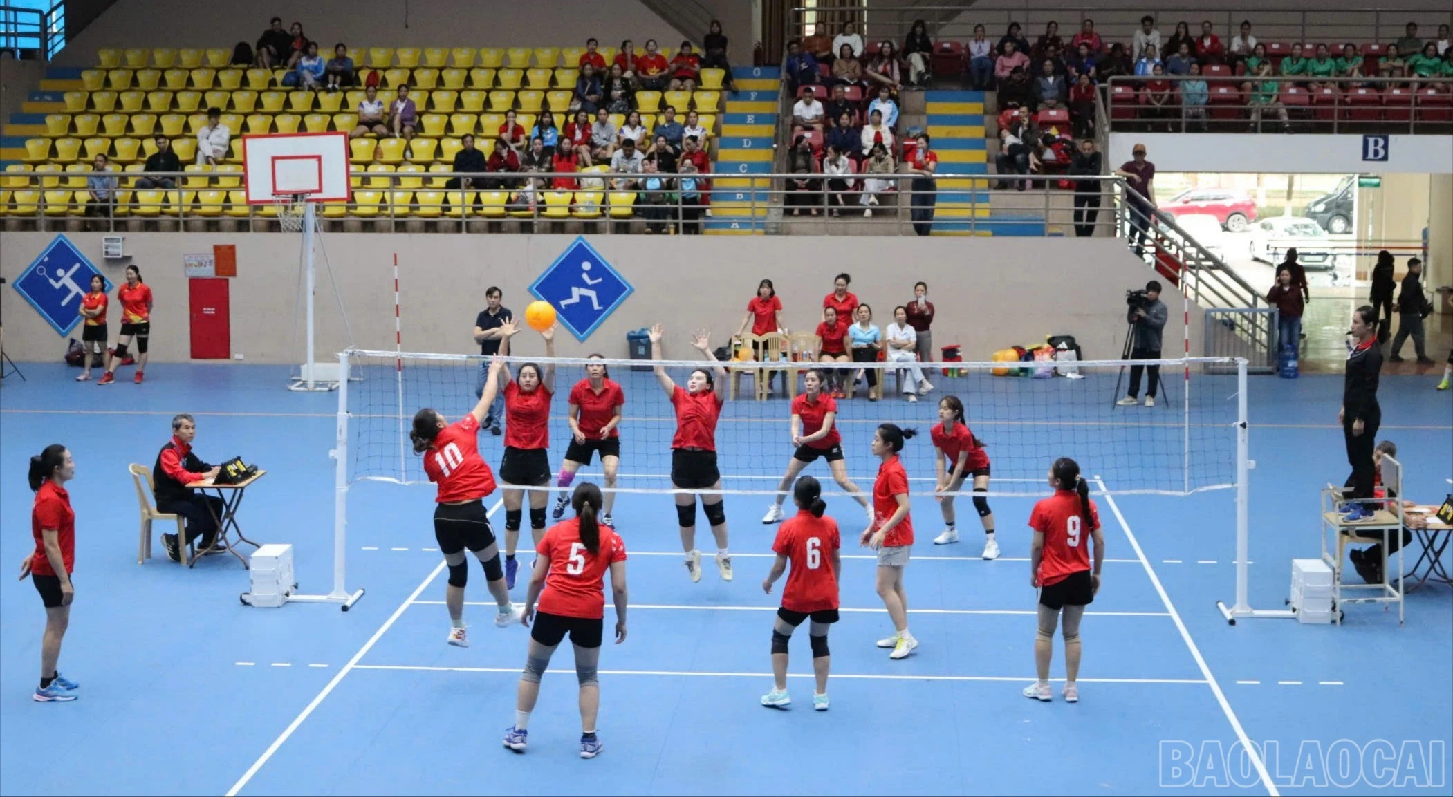 baolaocai-br-z7585530783561-59c937eaf18b7394f777bc08dd82411c.jpg