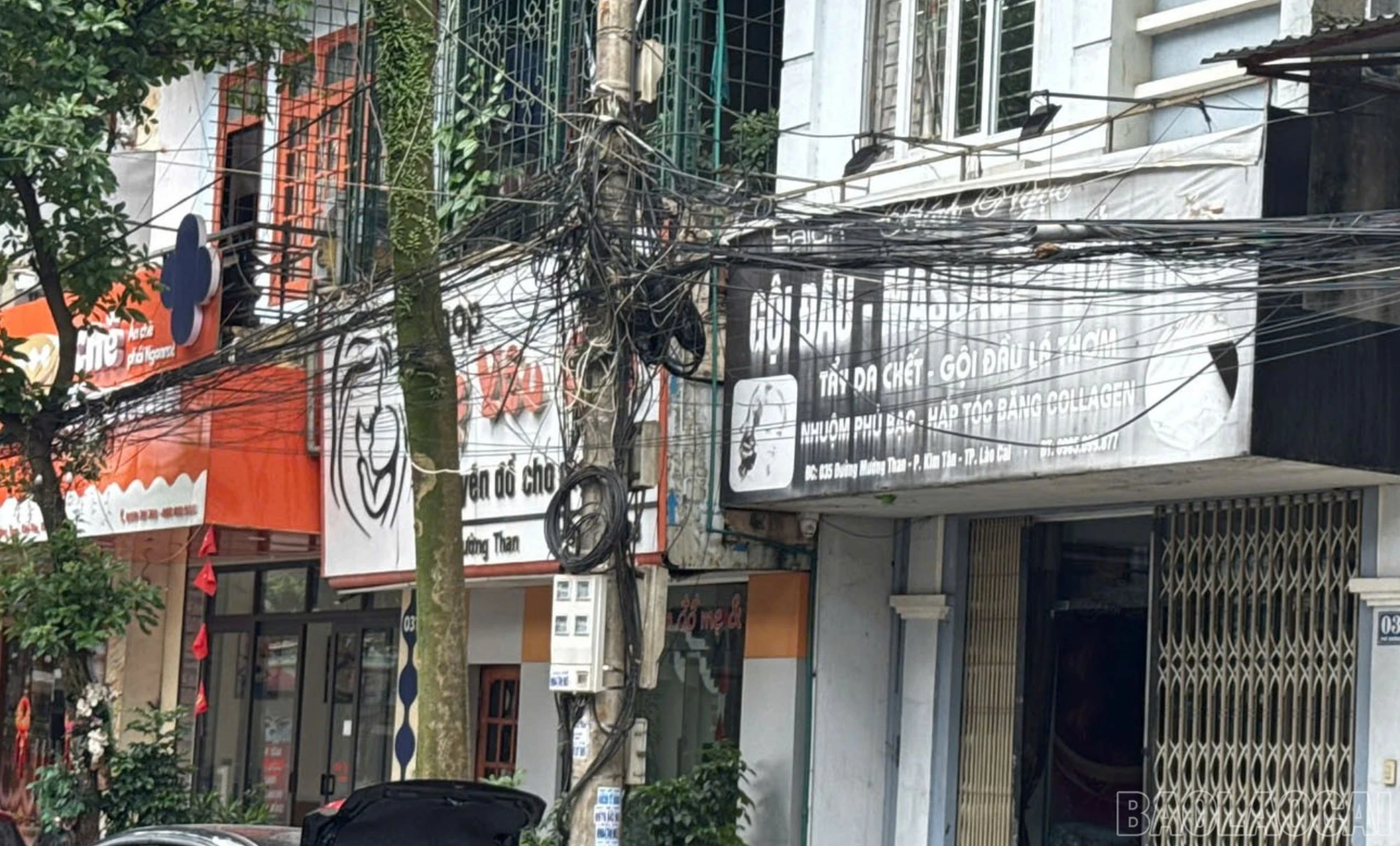 baolaocai-br_a1-6.jpg
