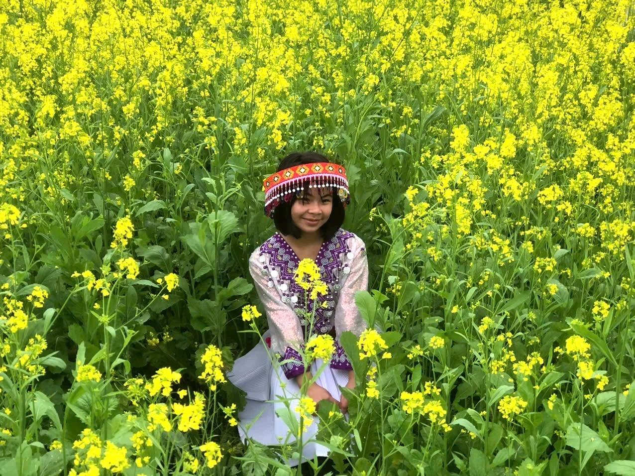 Hoa cải nhuộm vàng bên triền đồi, thu hút du khách tới tham quan.