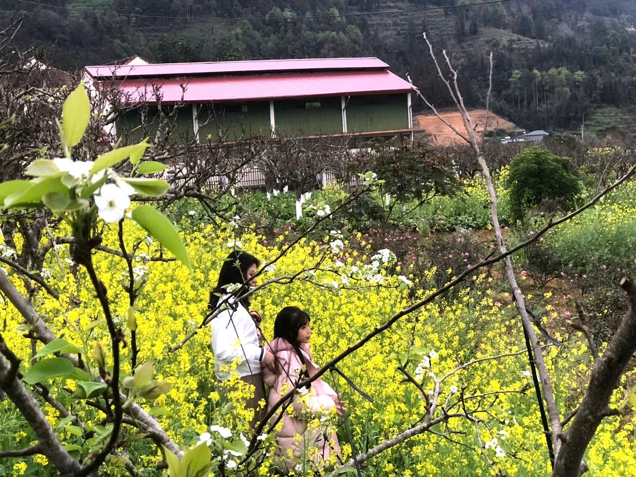 Đây cũng là dịp để Bắc Hà giới thiệu, quảng bá tiềm năng, thế mạnh du lịch và các sản phẩm du lịch độc đáo