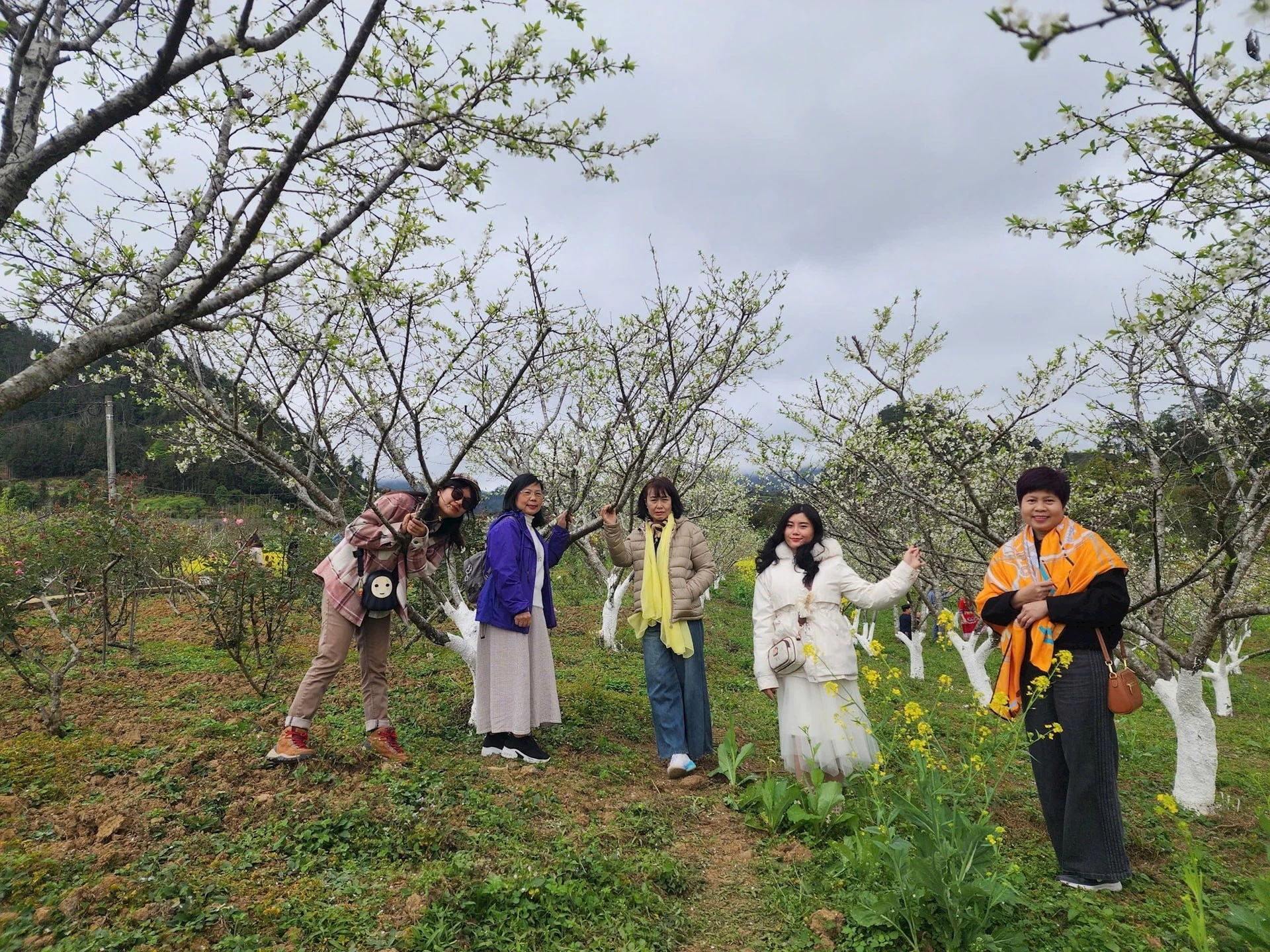 Xuân về trên cao nguyên trắng Bắc Hà ảnh 3