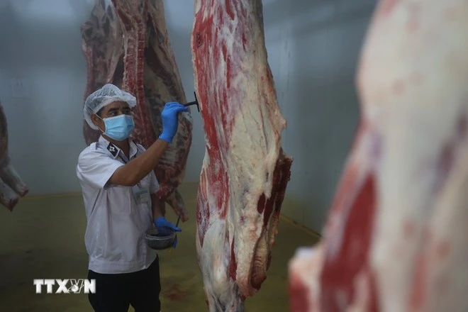 Cán bộ Thú y kiểm tra quy trình, đóng dấu kiểm soát giết mổ.