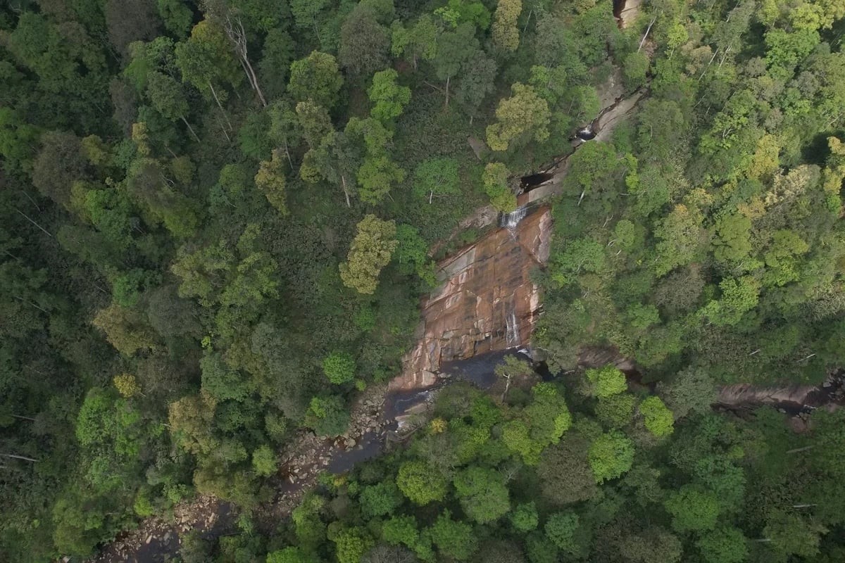 Khu bảo tồn thiên nhiên Bát Xát được xác lập năm 2016. Ảnh: Tuấn Ngọc.