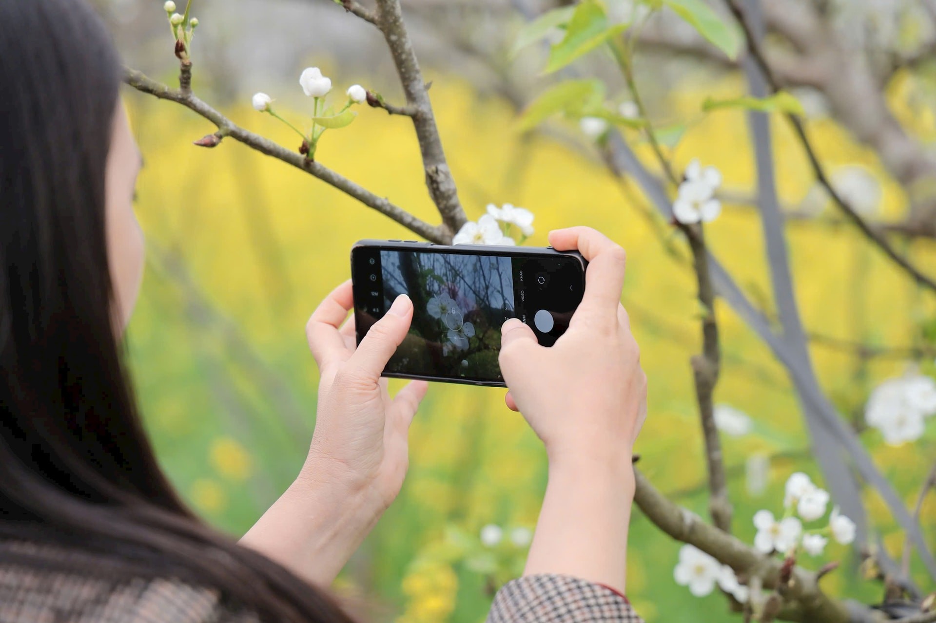 Du khách chụp lại những khoảnh khắc đẹp trong sắc hoa Bắc Hà ngày đầu năm mới.