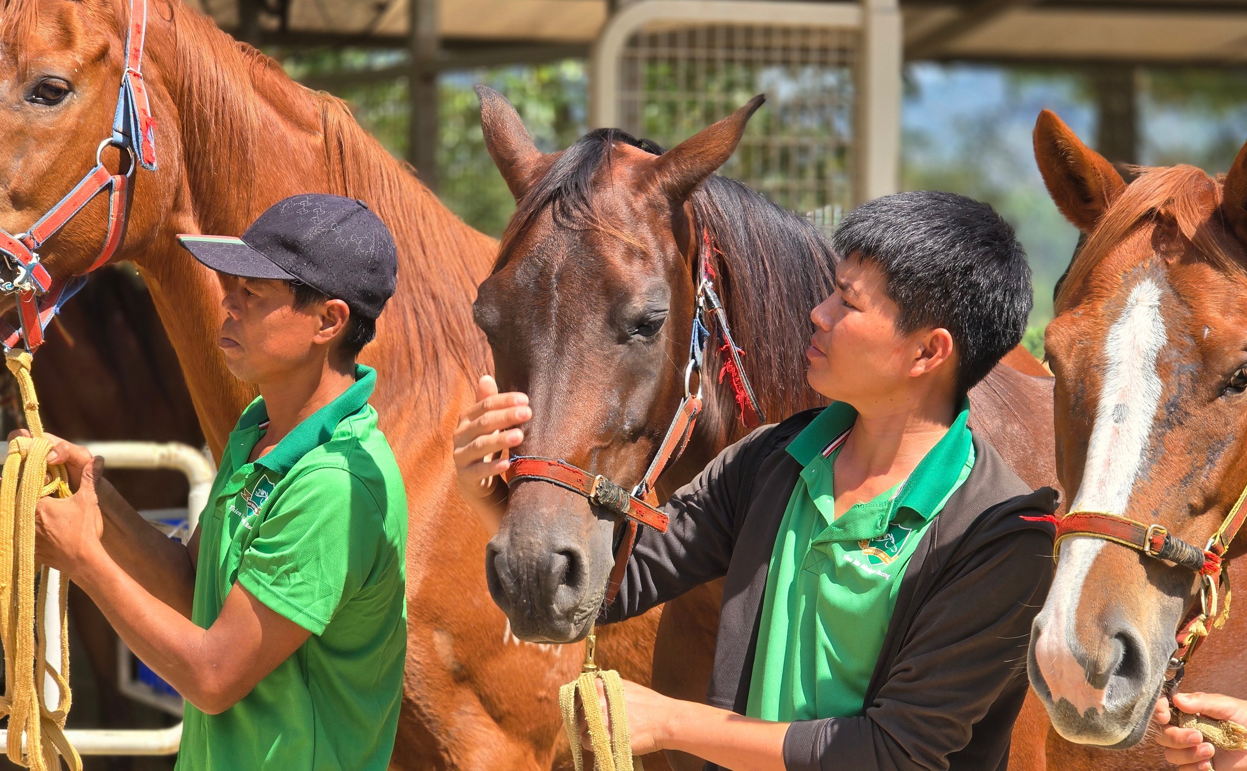 Tại Madagui, chủ đầu tư đã xây dựng đồng bộ hệ thống hạ tầng, gồm: khu đường đua vượt địa hình (cross-country) rộng hơn 158.000 m²; chuồng ngựa polo hơn 23.000 m²; sân polo 76.000 m²; khu ngựa biểu diễn trong nhà hơn 5.000 m²; sân nhảy ngựa ngoài trời 6.000 m² và sân tập ngựa gần 68.000 m².