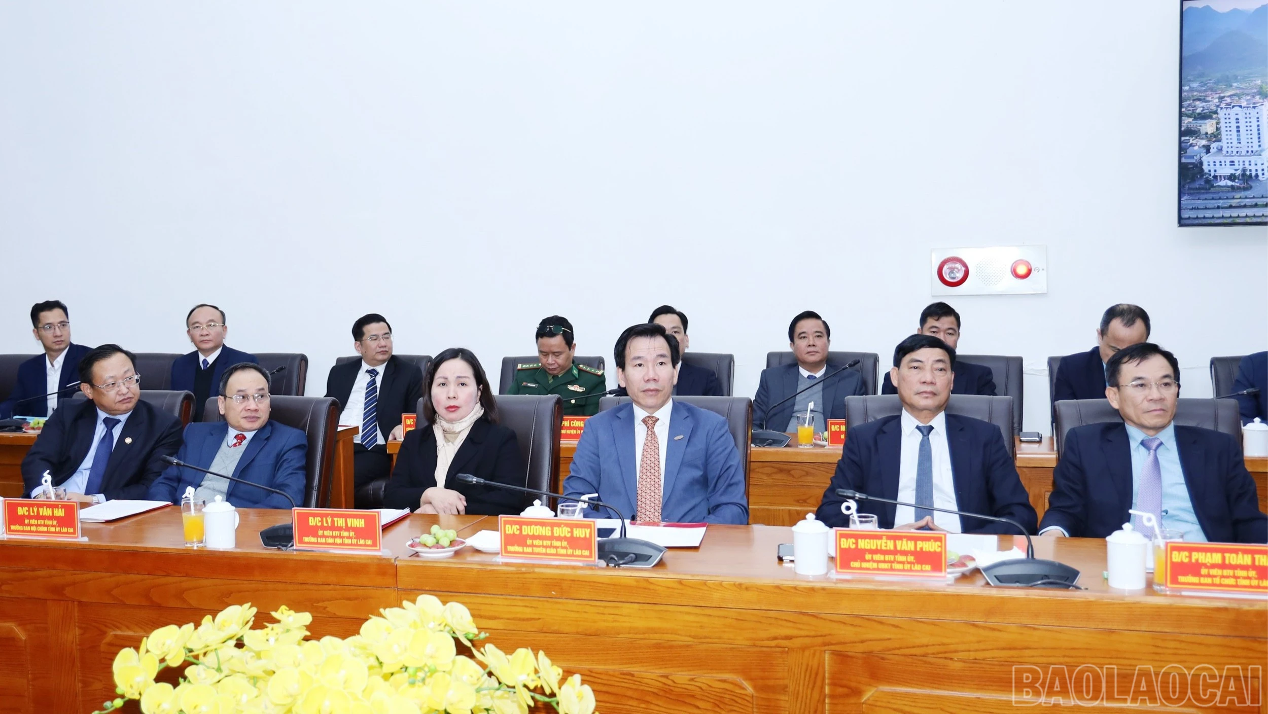 baolaocai-br_br-2832.jpg
