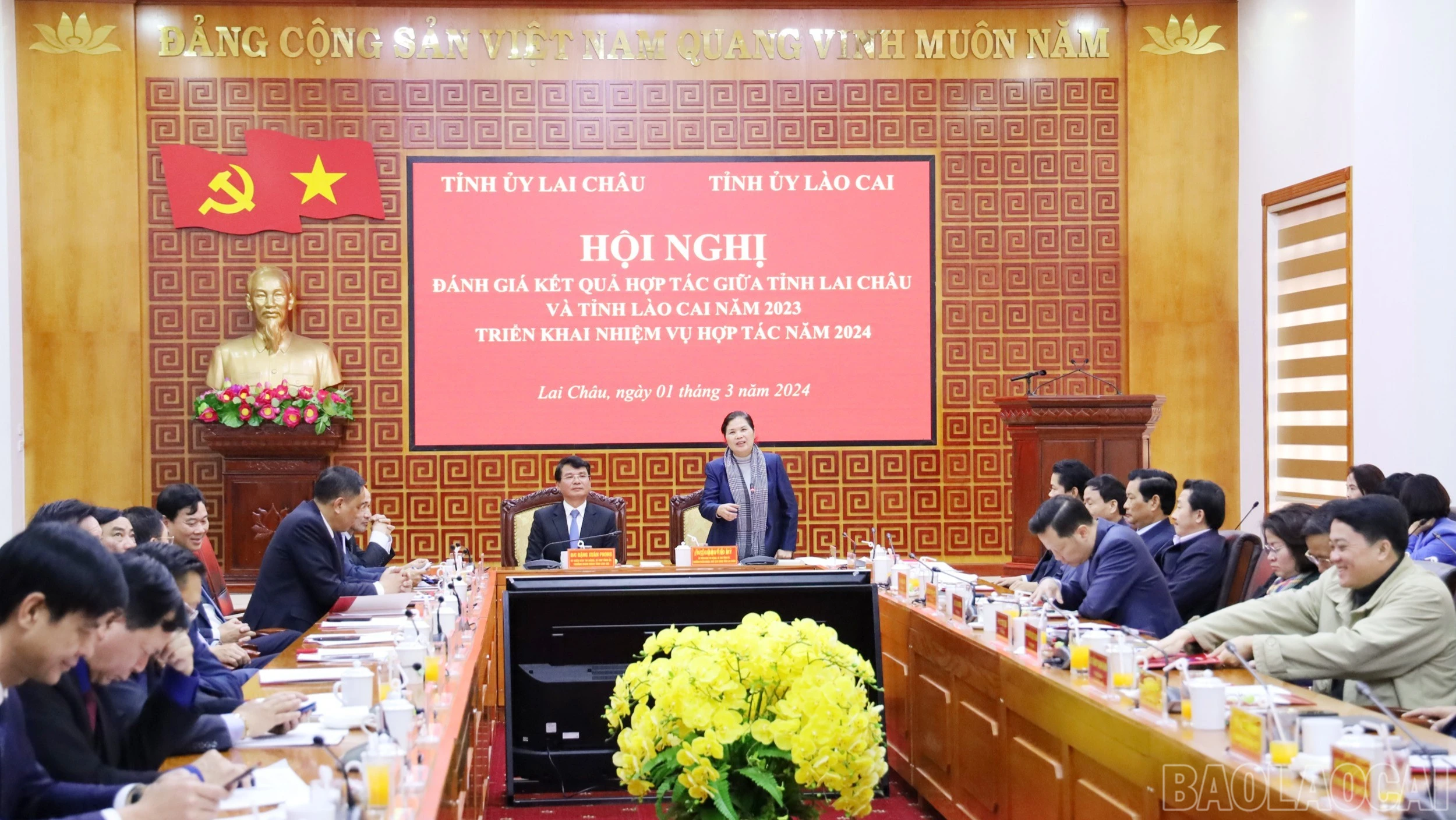 baolaocai-br_br-2871.jpg