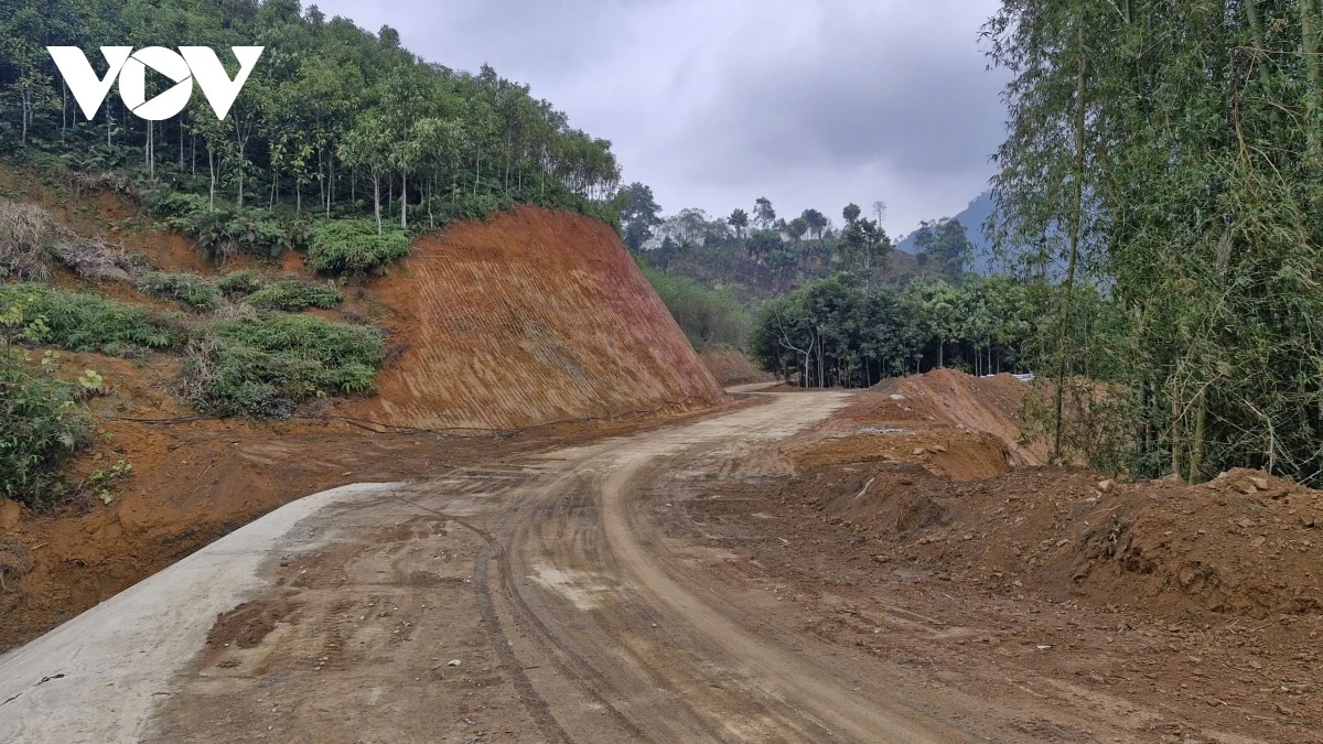 Đất, đồi quế của ông Triệu Văn Thọ ở thôn Khiểng Khun được nhường một phần cho mở rộng tuyến.
