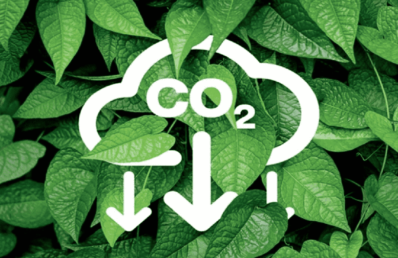 Thu tiền cung cấp dịch vụ trên sàn giao dịch các-bon trong nước kể từ ngày 01/01/2029.