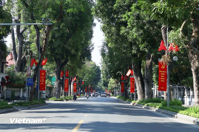 Hệ thống cờ Tổ quốc, cờ Đảng, băng rôn cổ động, chào mừng được treo ngay ngắn và nổi bật dọc hai bên phố Lê Hồng Phong.