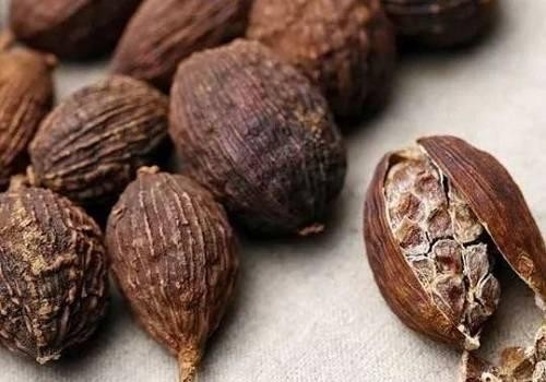 Sa nhân giúp giảm đầy bụng, khó tiêu.