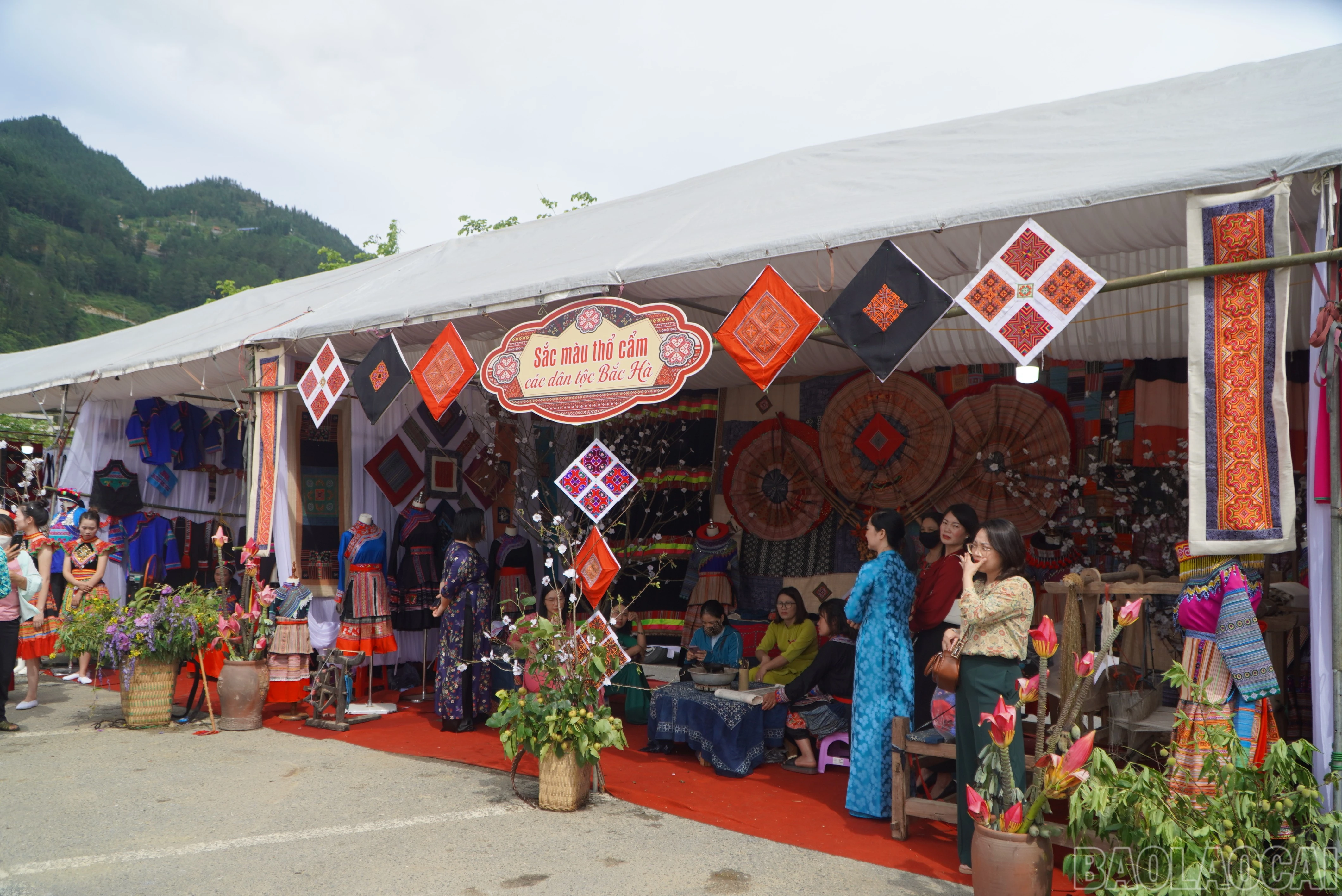 baolaocai-br_dsc02897.jpg
