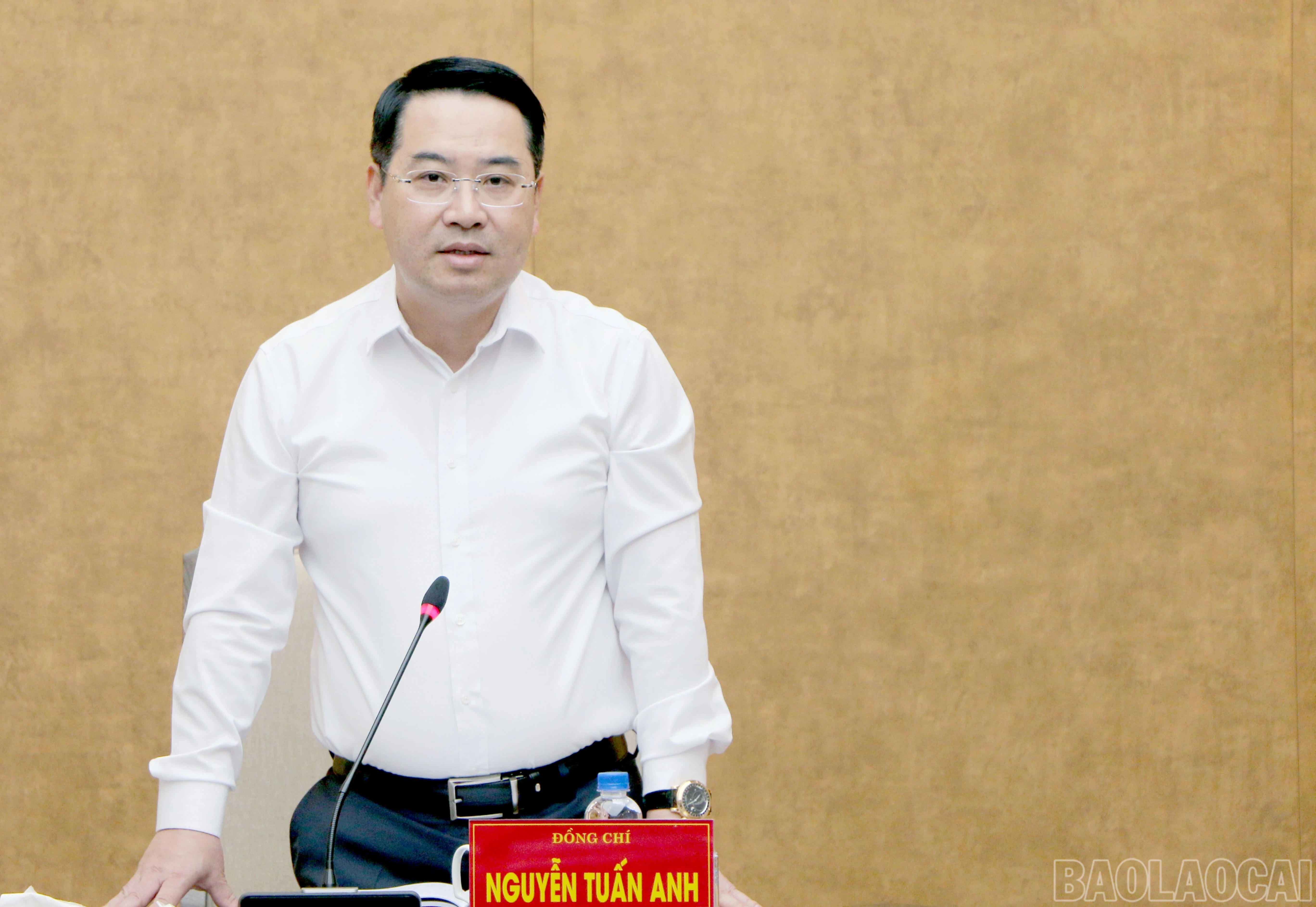 baolaocai-br_img-3695.jpg