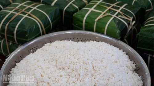 Gói bánh chưng chưa bao giờ chỉ là một việc phải làm. Đó là nghi thức đoàn viên.