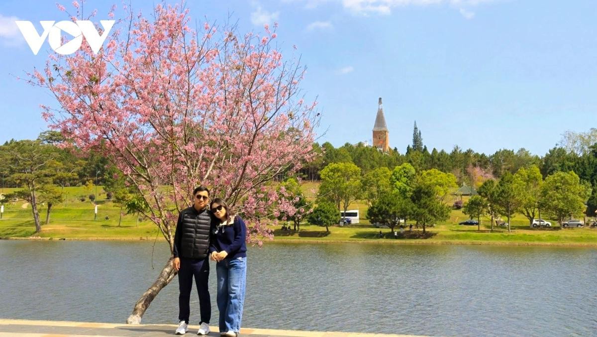 Đà Lạt là điểm đến hàng đầu mỗi dịp Tết đến Xuân về.